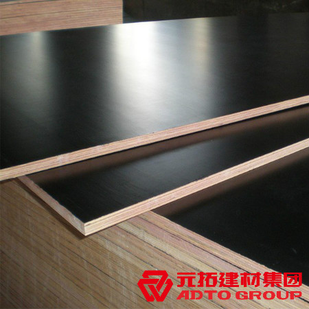 河北建筑木模板多少錢一張？河北木模板價格表？